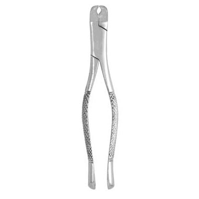 Extracting Forceps #5